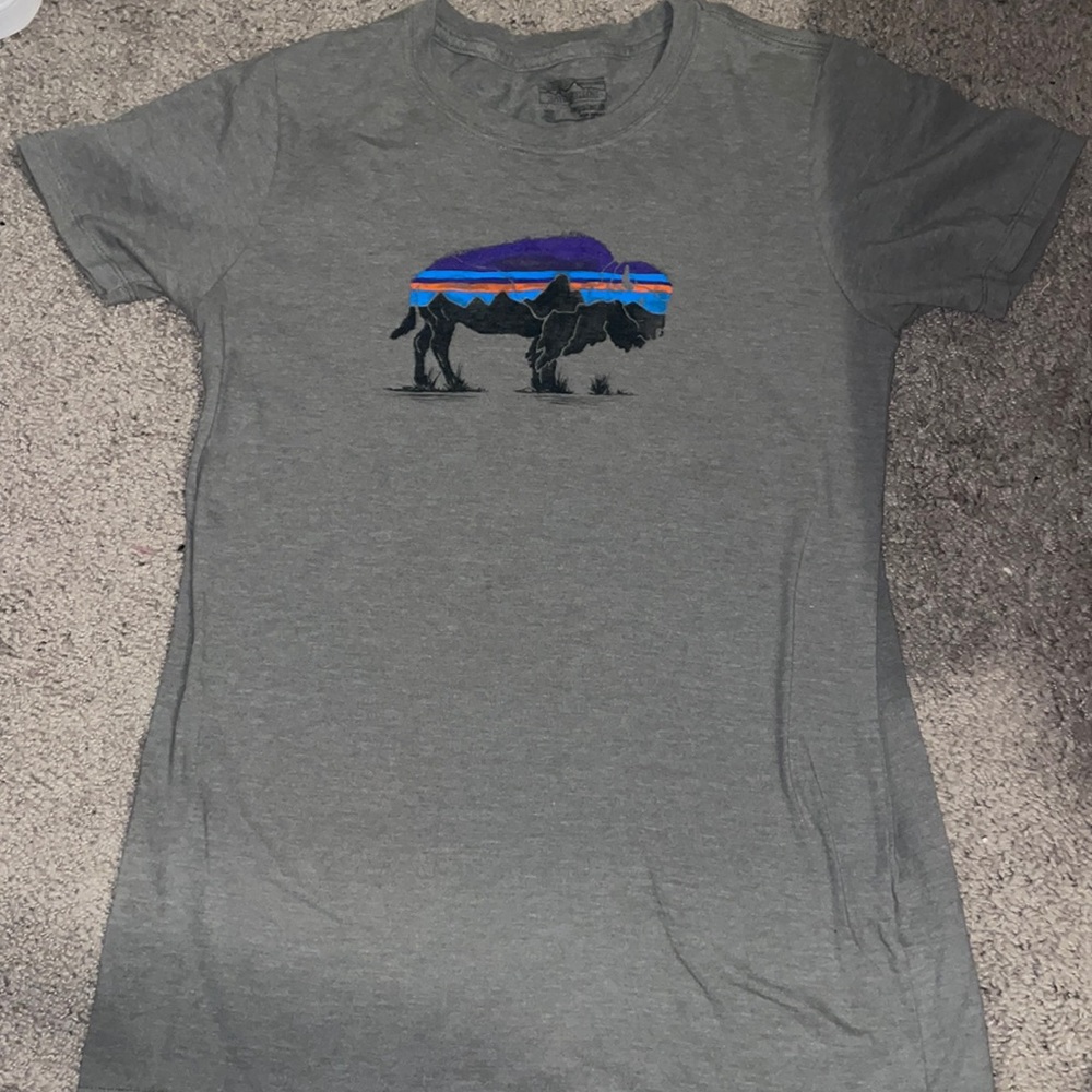 Patagonia gray T-shirt- size extra small